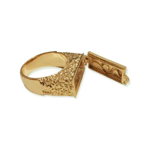 Lotta Djossou Bague Boîte Secrète Serpent Dorée Discount