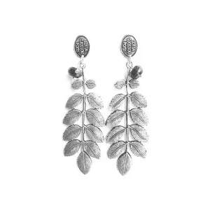 Lotta Djossou Boucles d'oreilles Feuille d'Acacia Clearance
