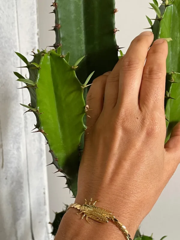 Lotta Djossou Bracelet Petite Cigale Cica Doré Hot