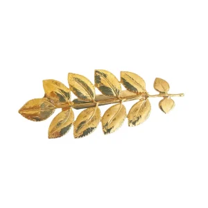 Lotta Djossou Broche Feuille d'Accacia Dorée New